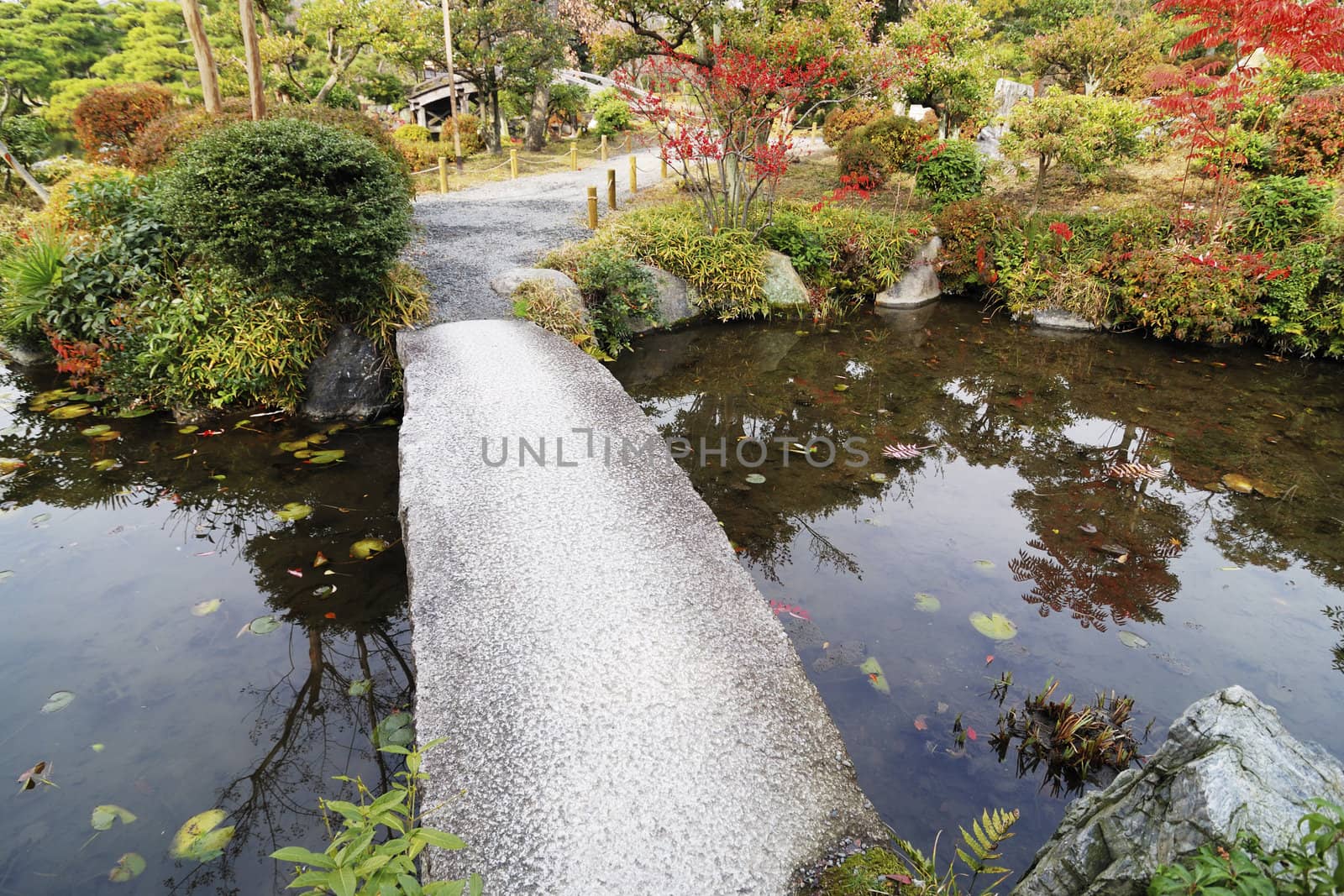 scenic bridge in autumnal japanese zen-garden in Kyoto