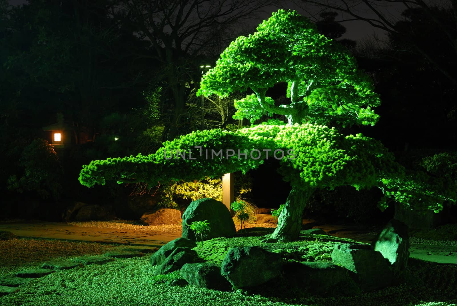 zen garden by night by yuriz