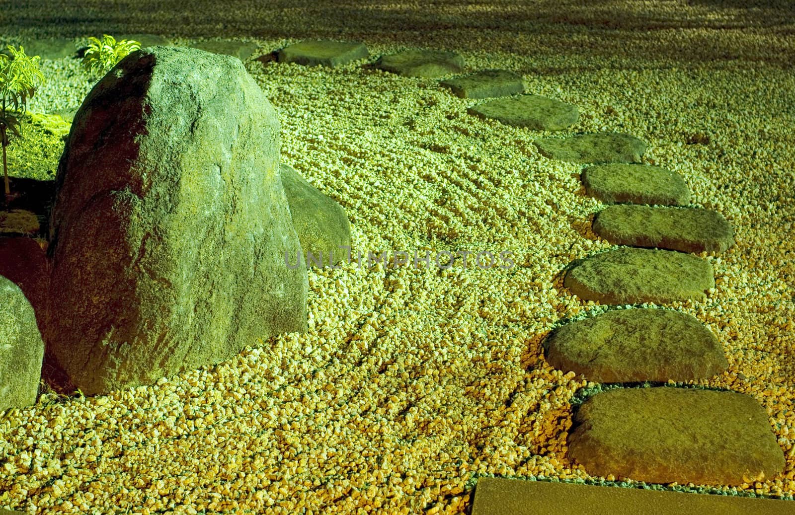 scenic Japanese stone zen garden under night illumination, Tokyo