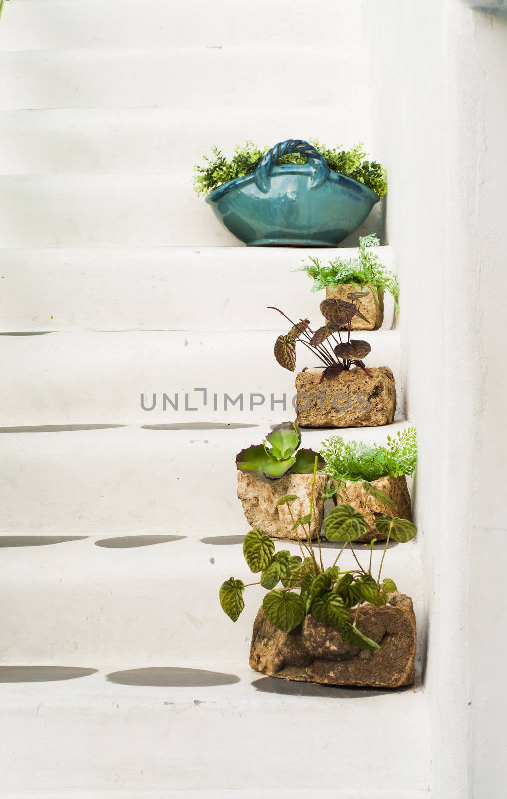 Stairs of Greek house with plant pots decoration by TanawatPontchour