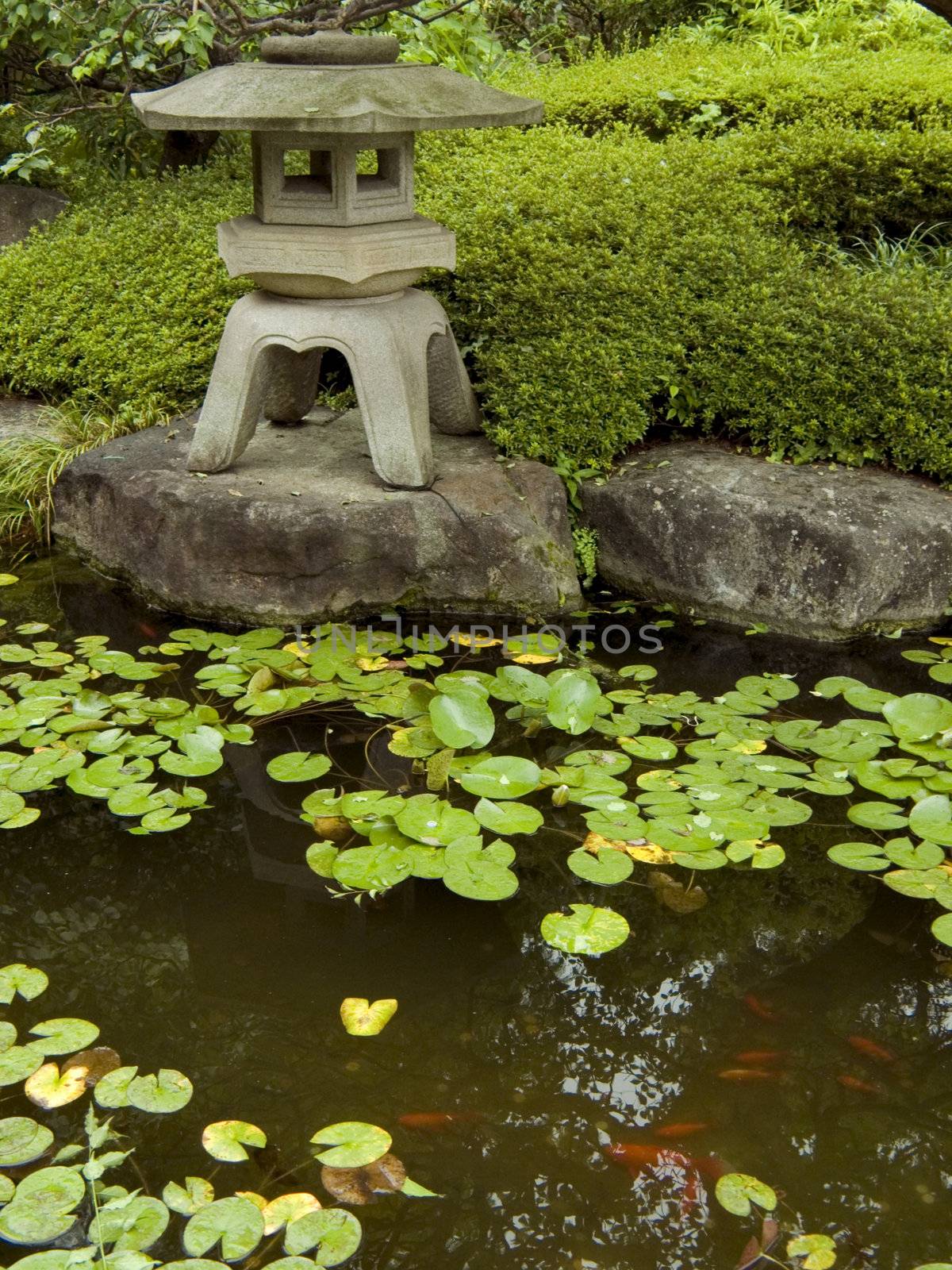 zen garden&pond by yuriz