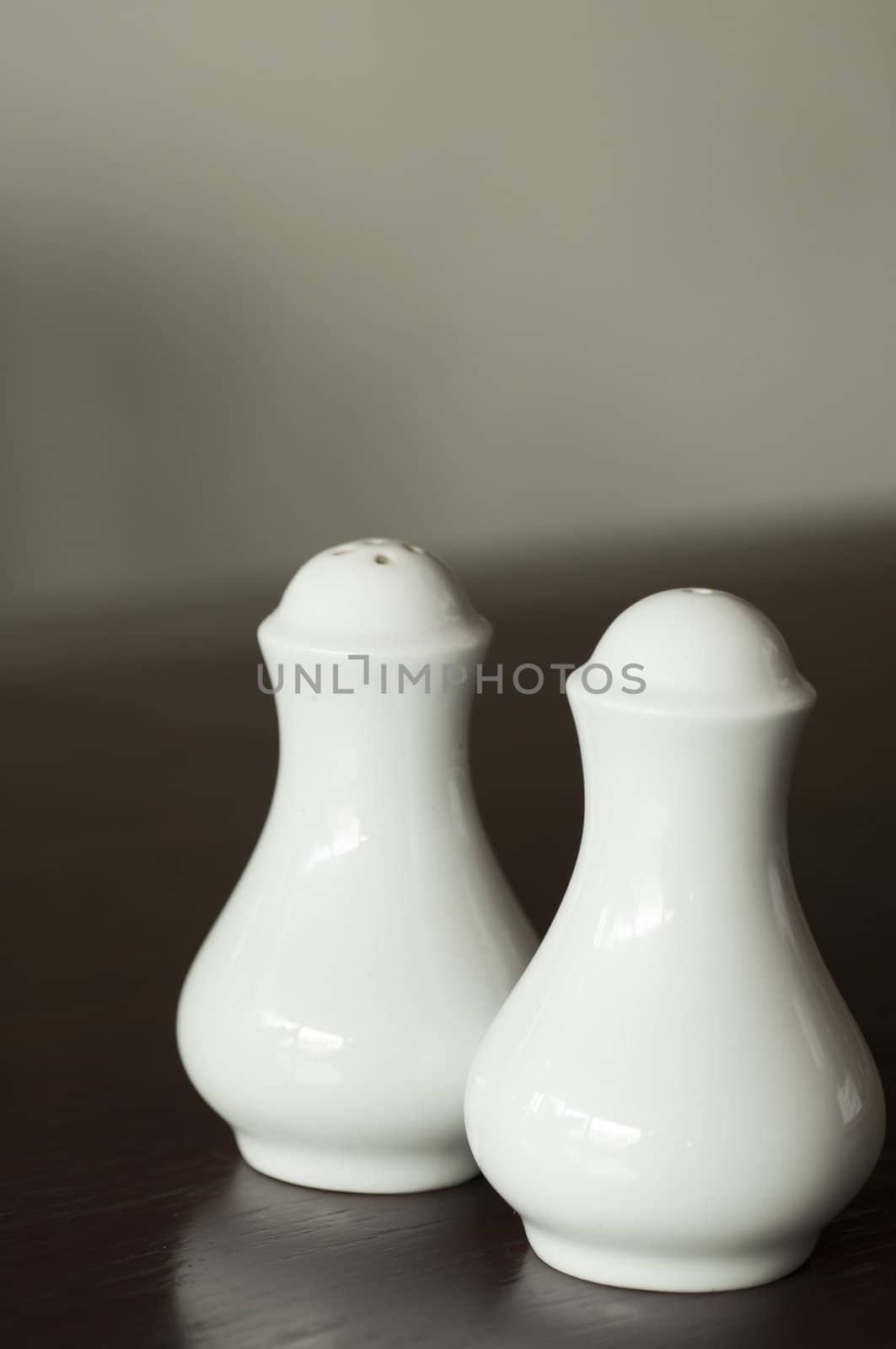 Porcelain salt and pepper shakers