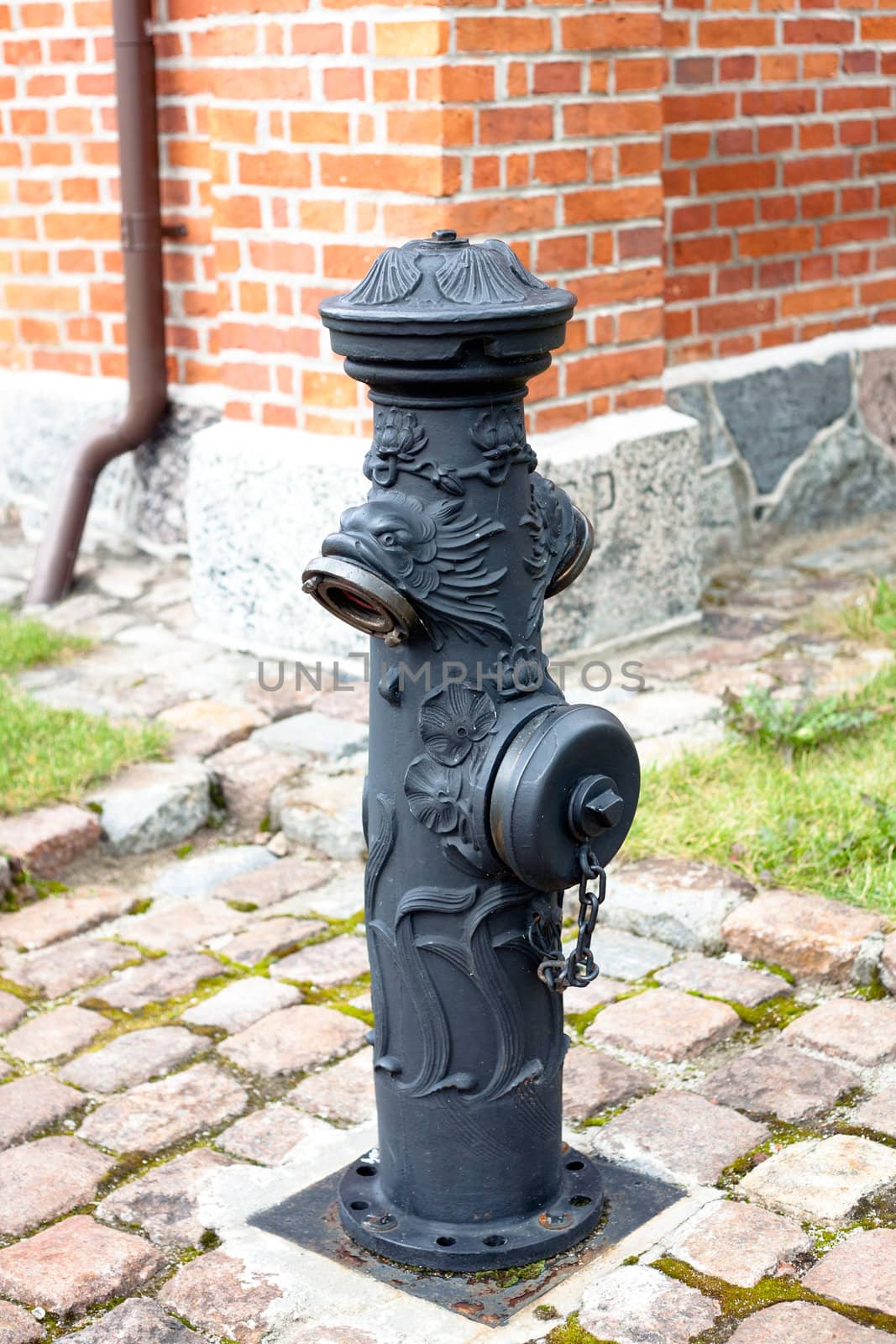 An old water pump in a form of monster

