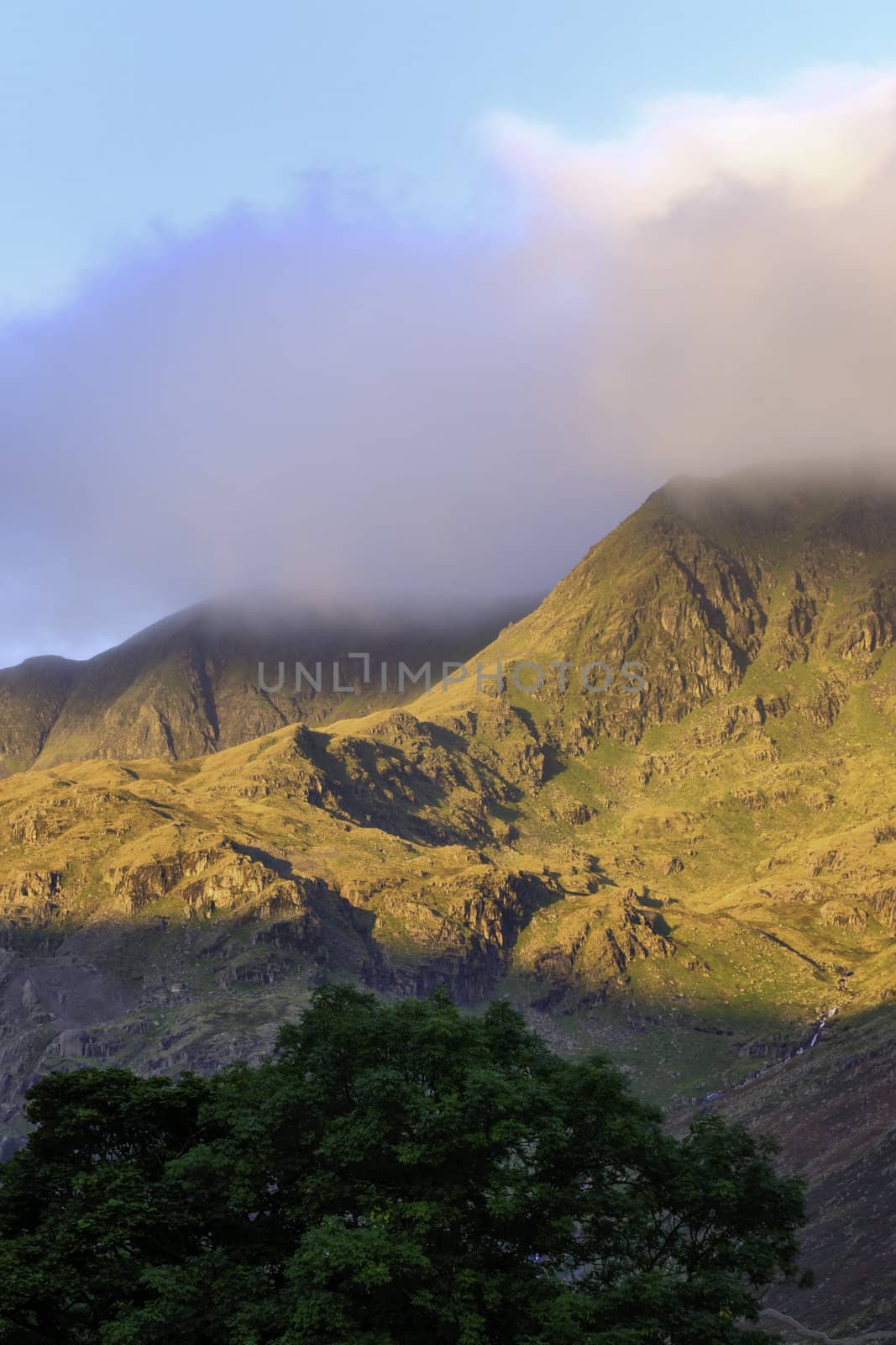 Shaft of sunlight catching a rugged mountain range with its top enveloped in cloud and a green leafy tree in the foreground
