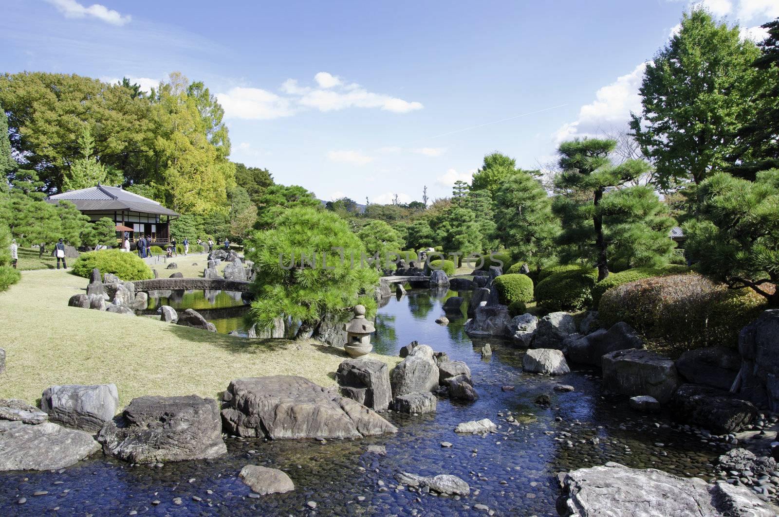 Garden with pond in japanese style, Kyoto, Japan