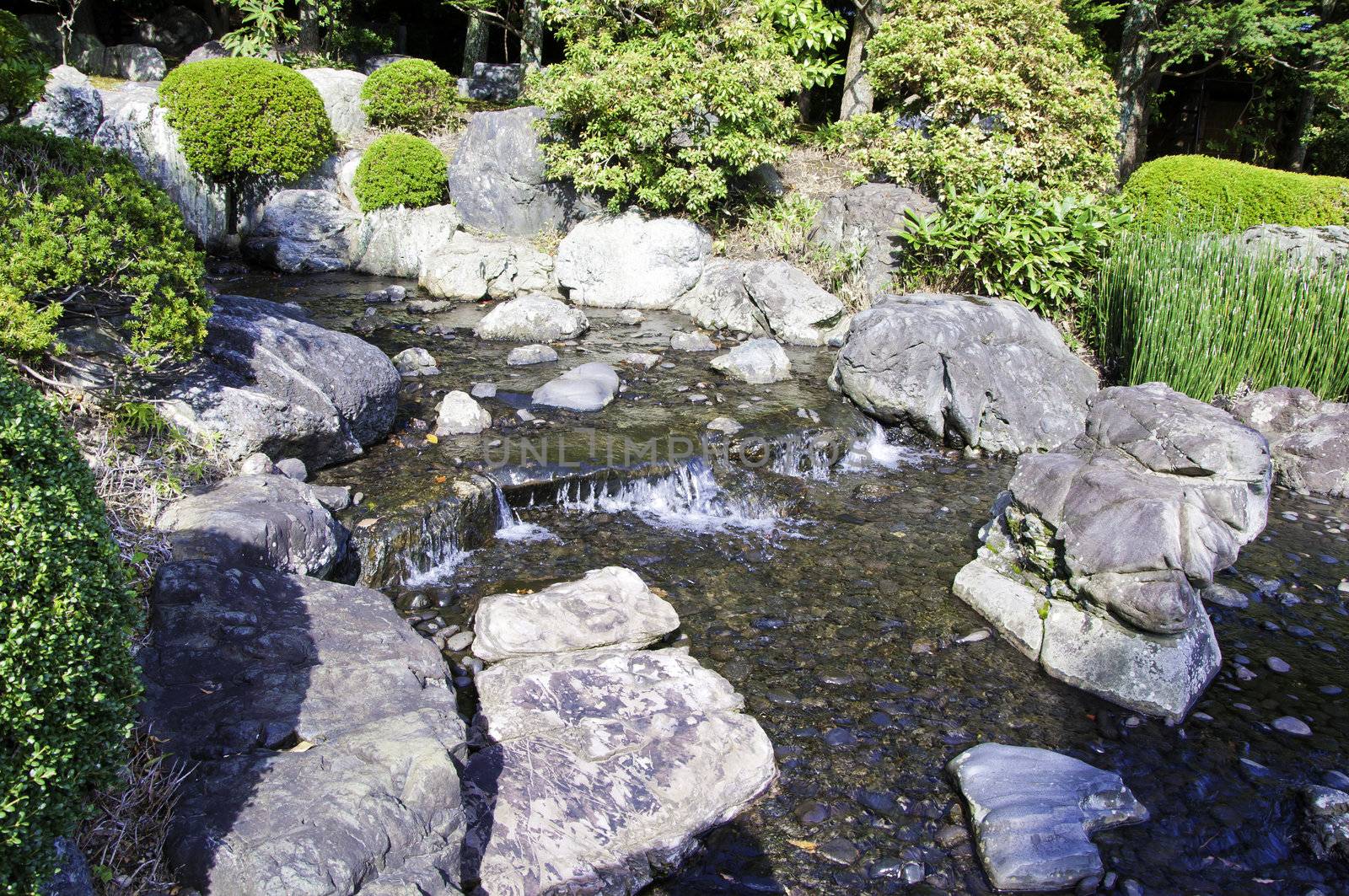garden with pond in asian style, kyoto, japan