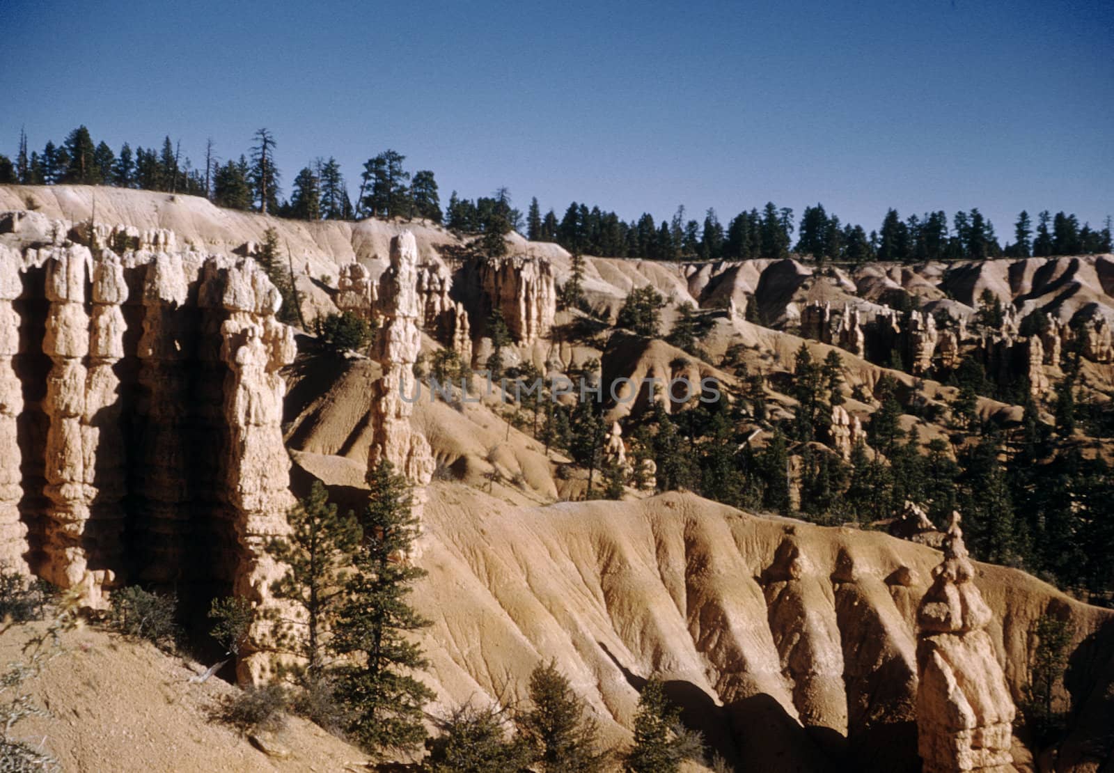 Rock Formations and Trees Bryce Canyon National Park Utah, USA