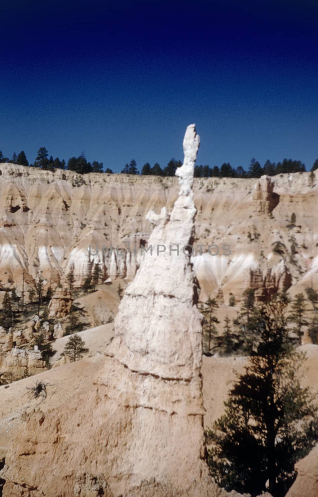 Hoodoo or rock spire, bryce Canyon National Park, Utah, United States