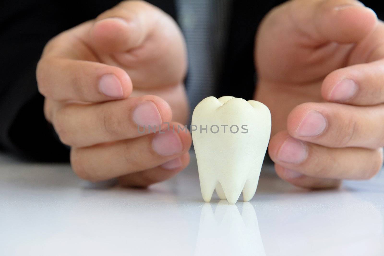 molar,dental concept by ponsulak