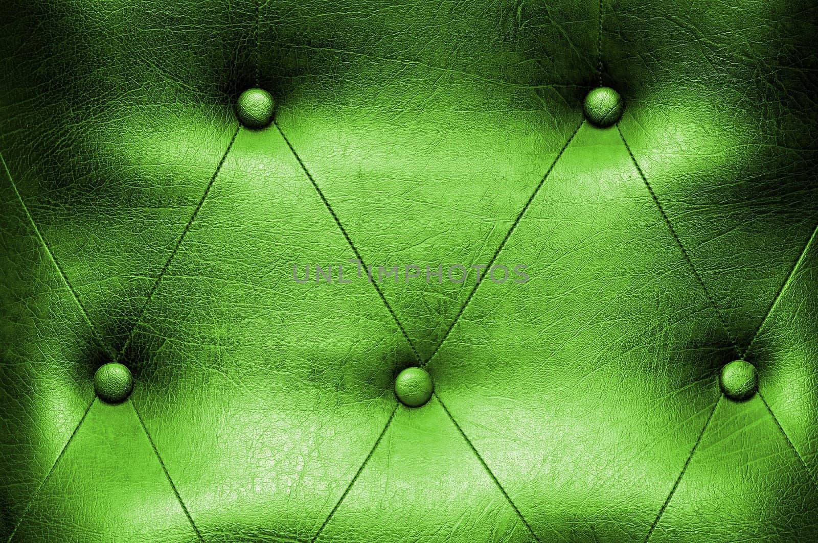 Close up luxury buttoned green leather