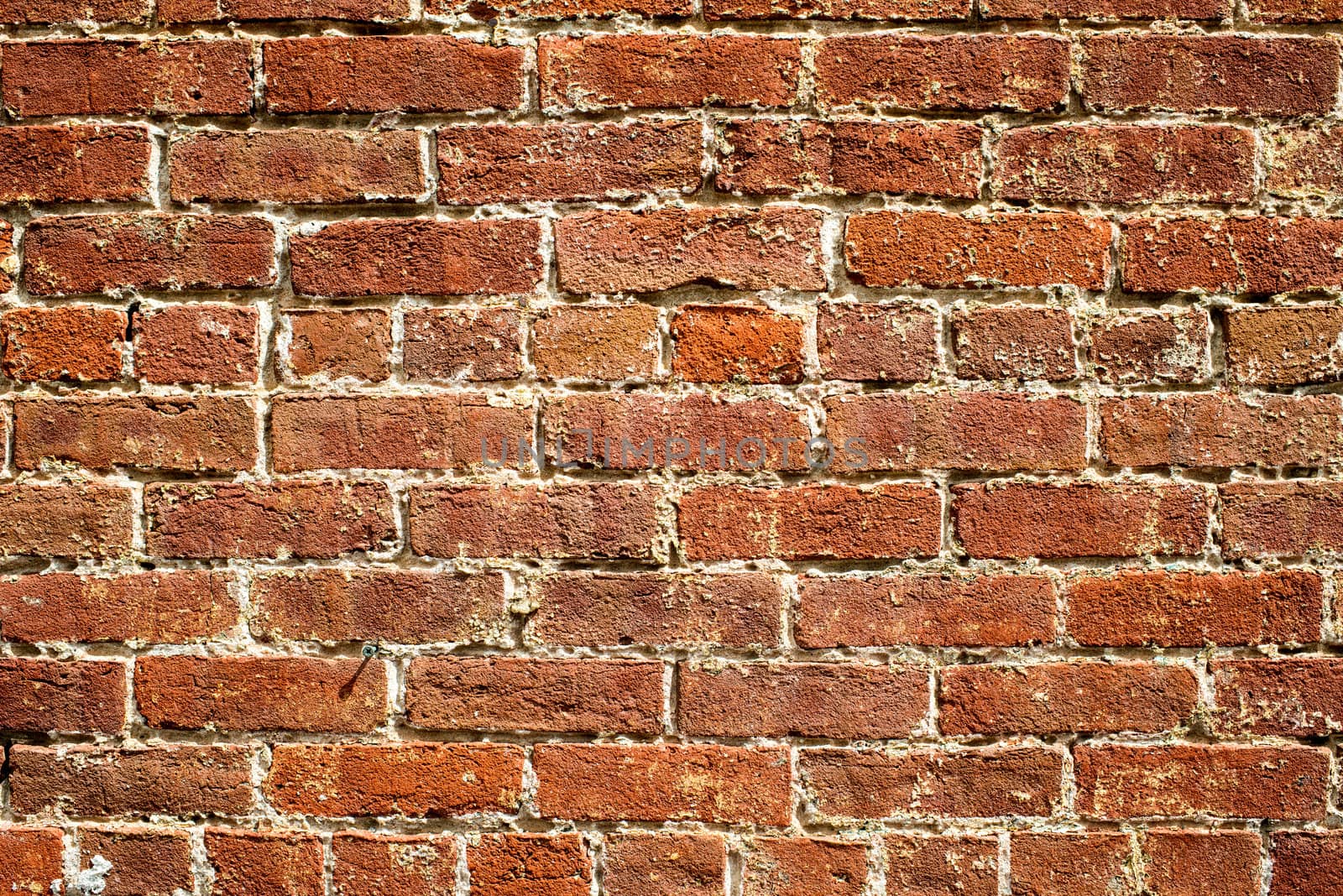 Brick Wall Background