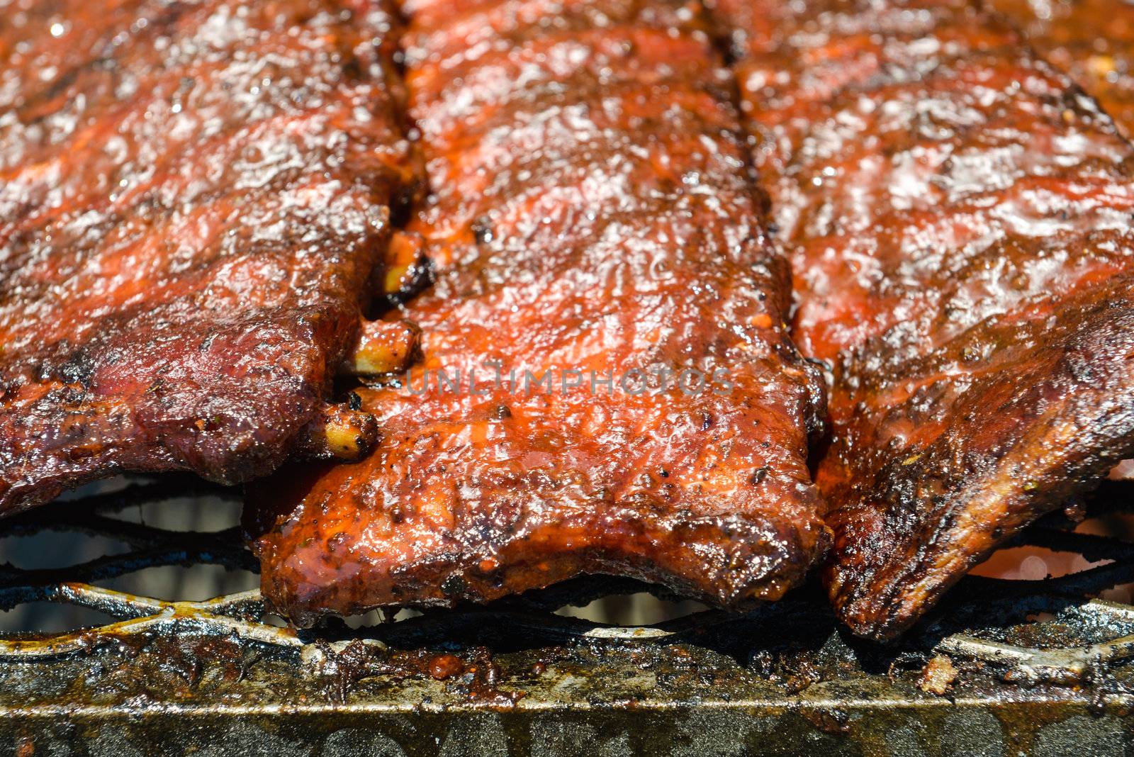 Pork Ribs on the Grill