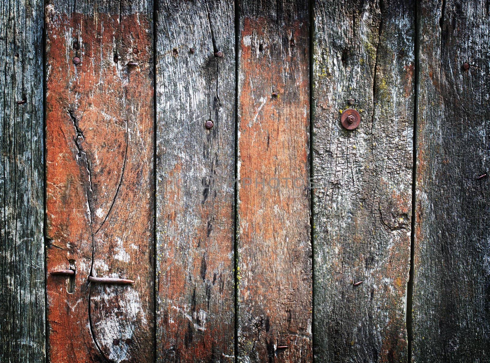 Vintage wooden texture. Background. Close up