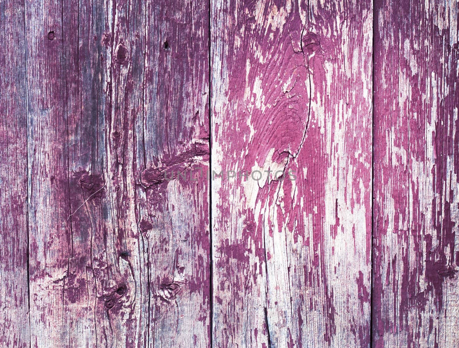 Vintage wooden texture. Background. Close up