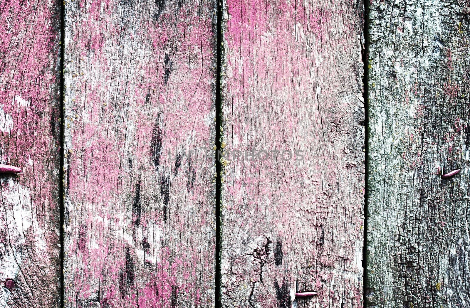 Vintage wooden texture. Background. Close up