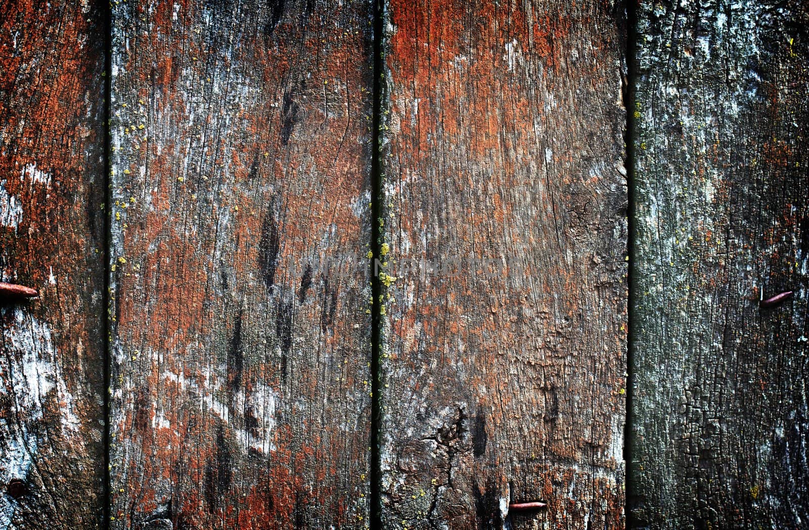 Vintage wooden texture. Background. Close up