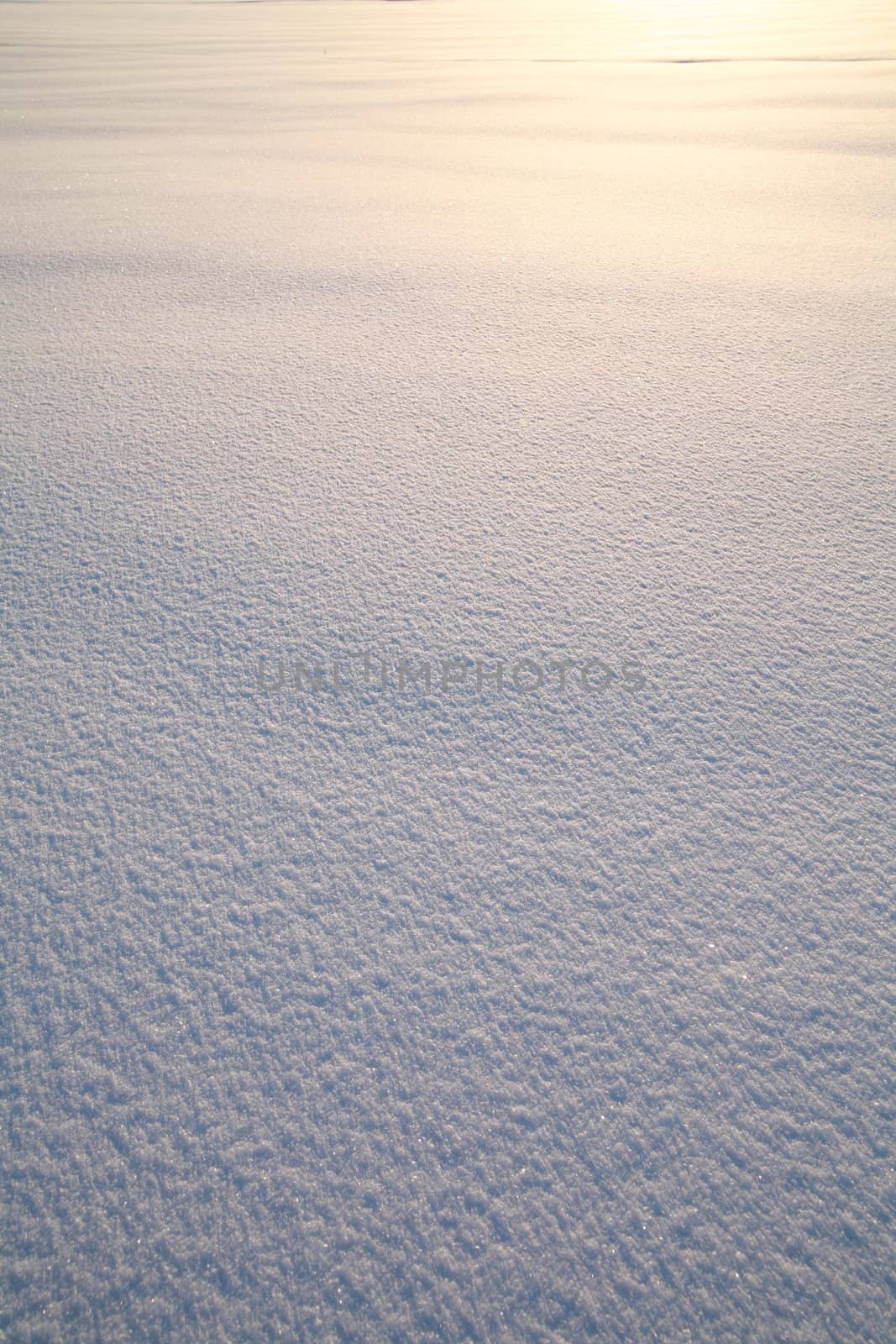 Details of a beautiful snow surface perfect for backgrounds on greeting cards etc.
