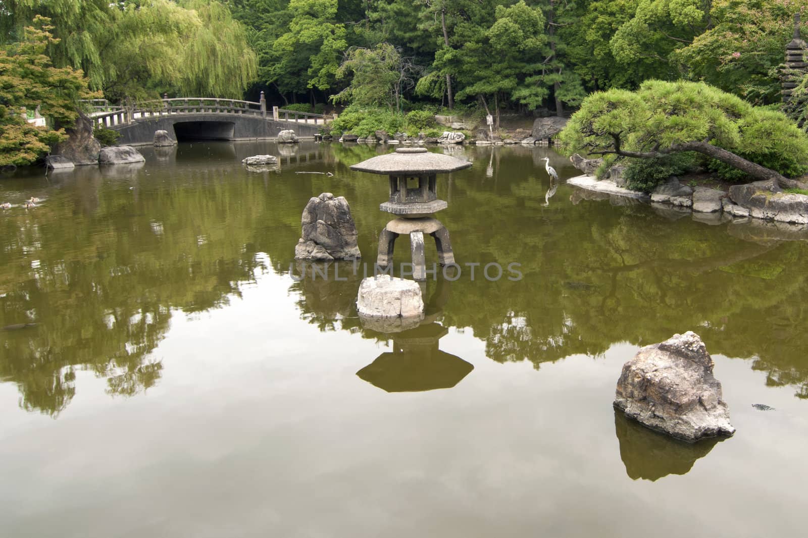 scenic Japanese zen garden with big pond on foreground