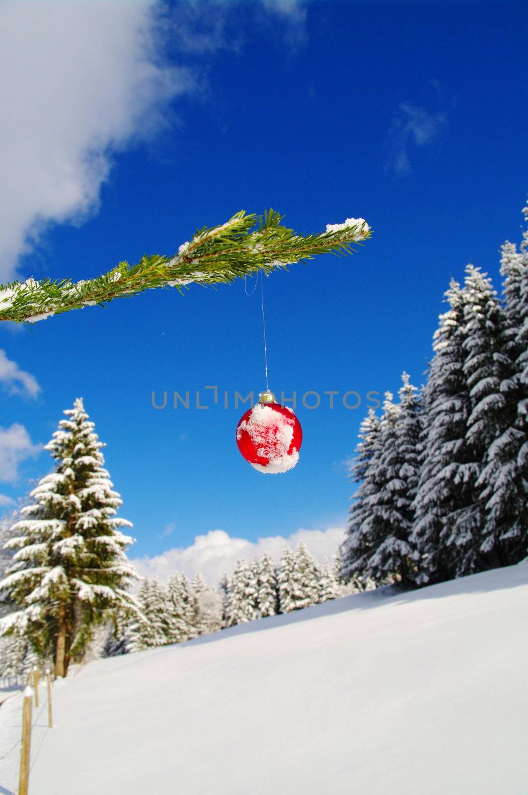 a red bauble in a winter landscape