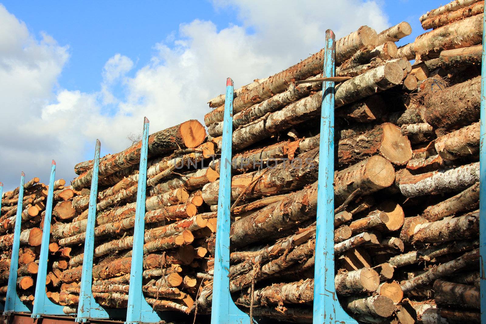 Wooden logs stacked on a railcar for transportation.