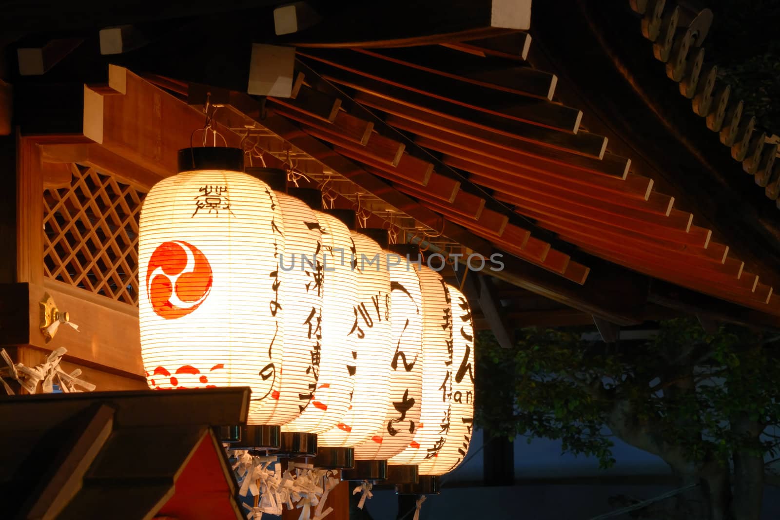 japanese lanterns by yuriz
