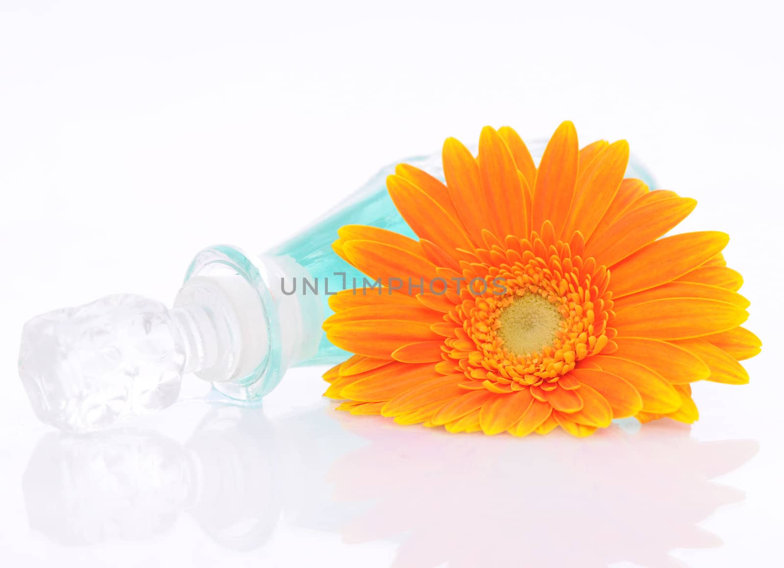 women's perfume in beautiful bottle and flower