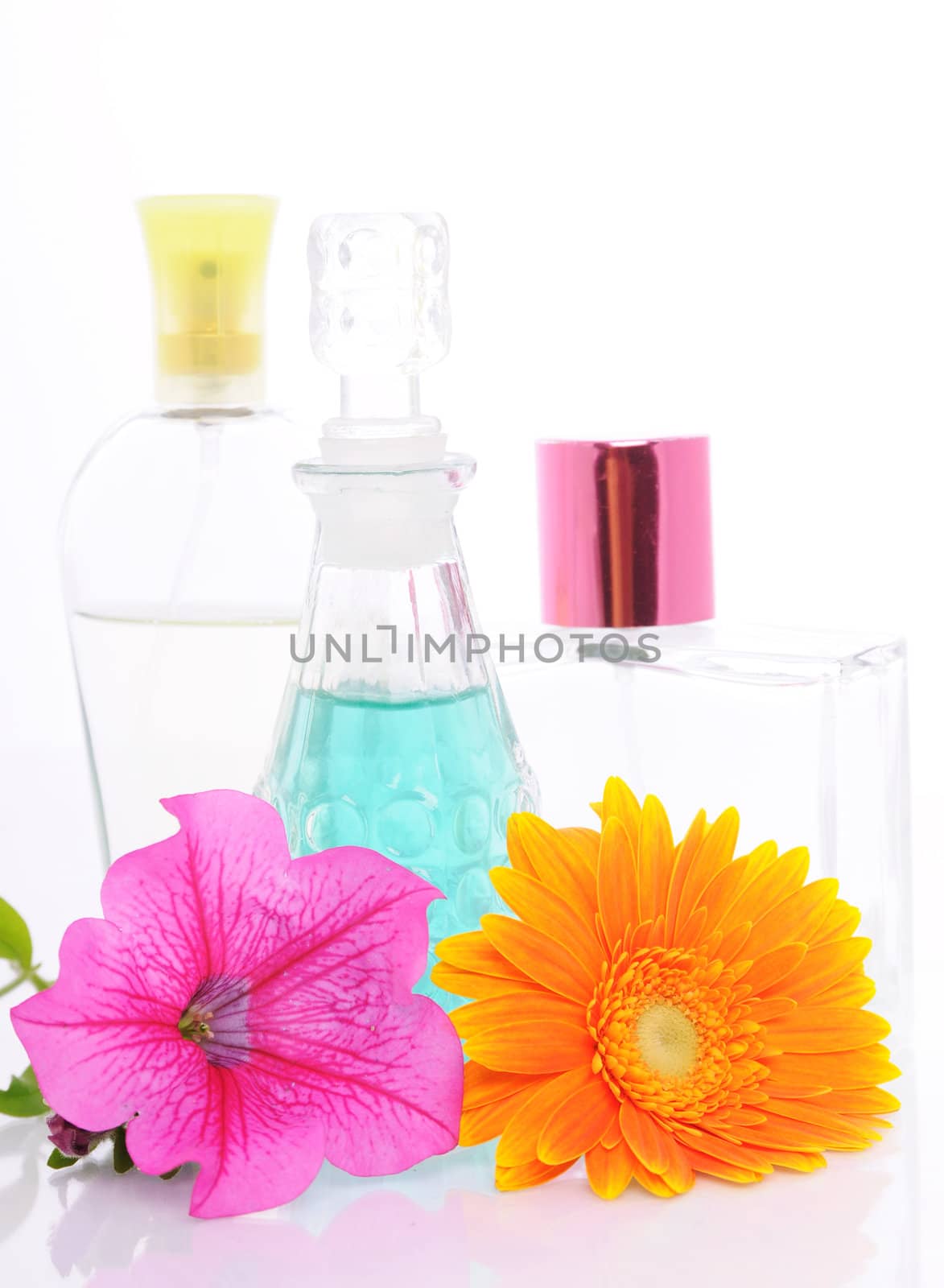 women's perfume in beautiful bottle and flower