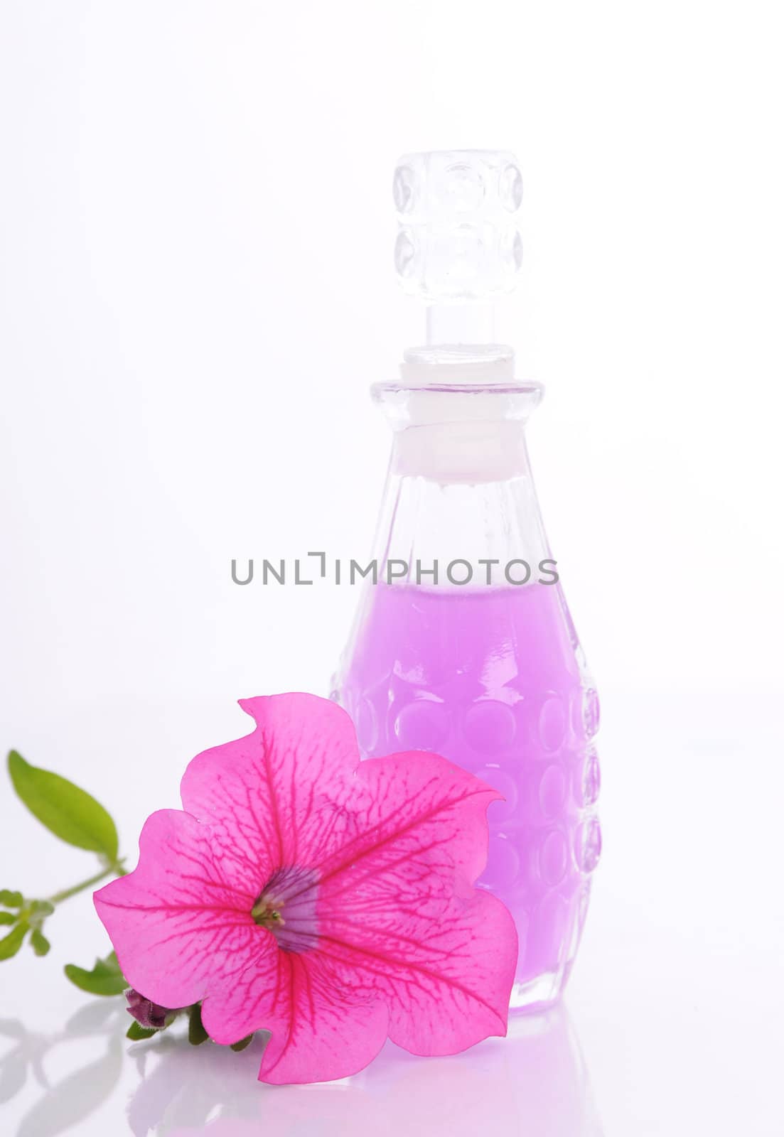 women's perfume in beautiful bottle and flower