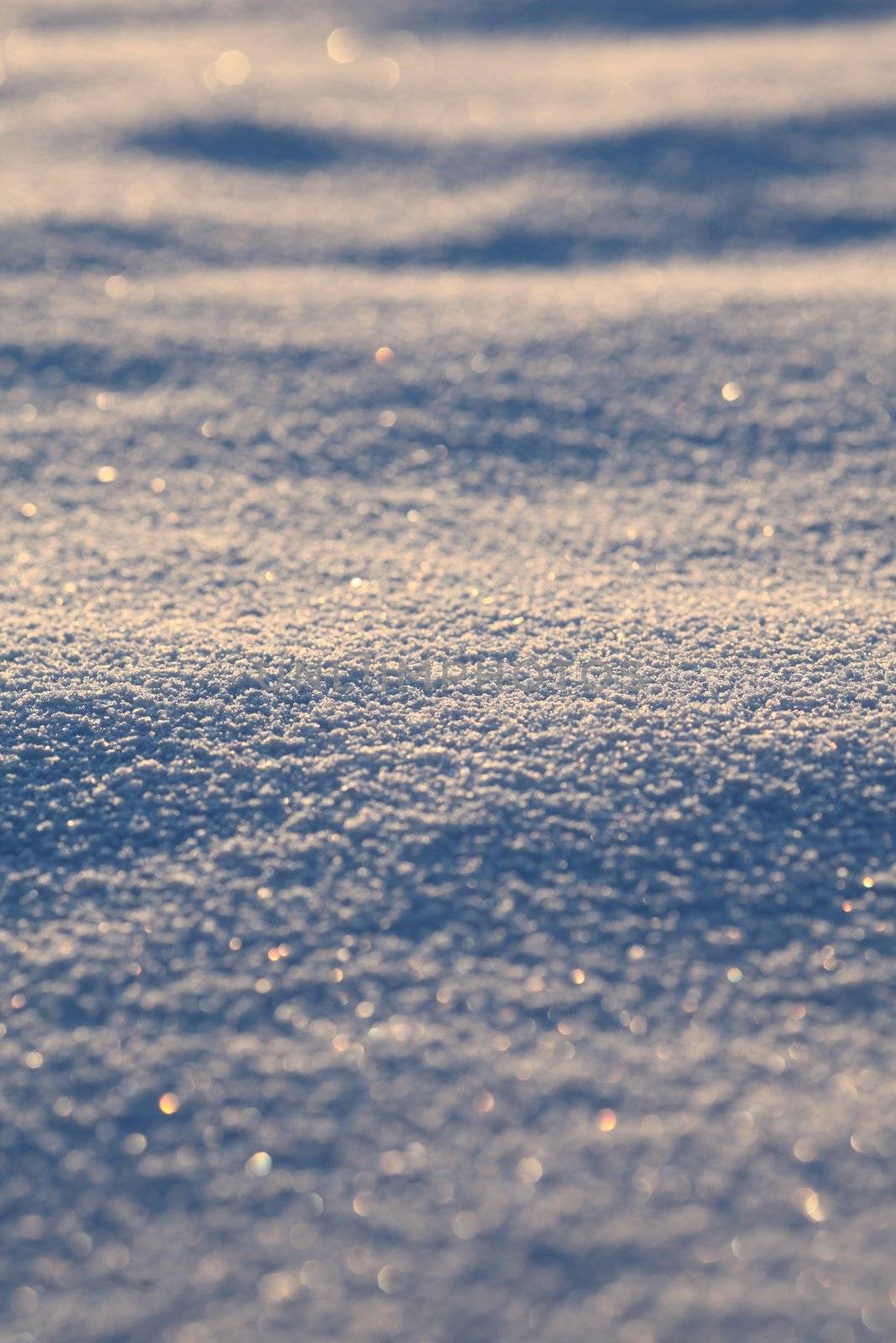 snow surface close-up of snow and flakes