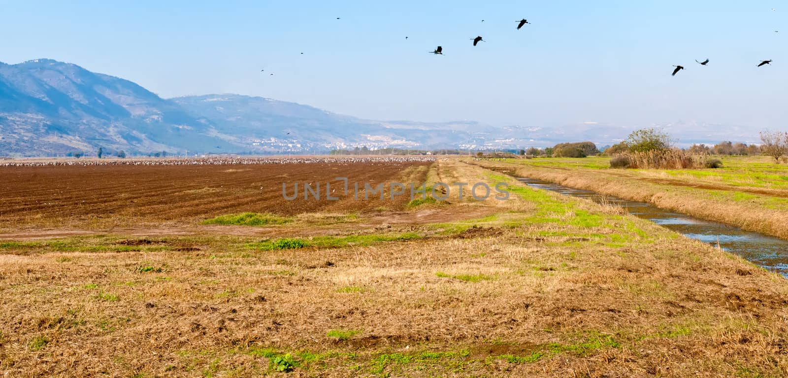 Valley "Agmon-Khula and" adjacent to the ridges and the Golan mountains of Naftali. Winter. Israel.
