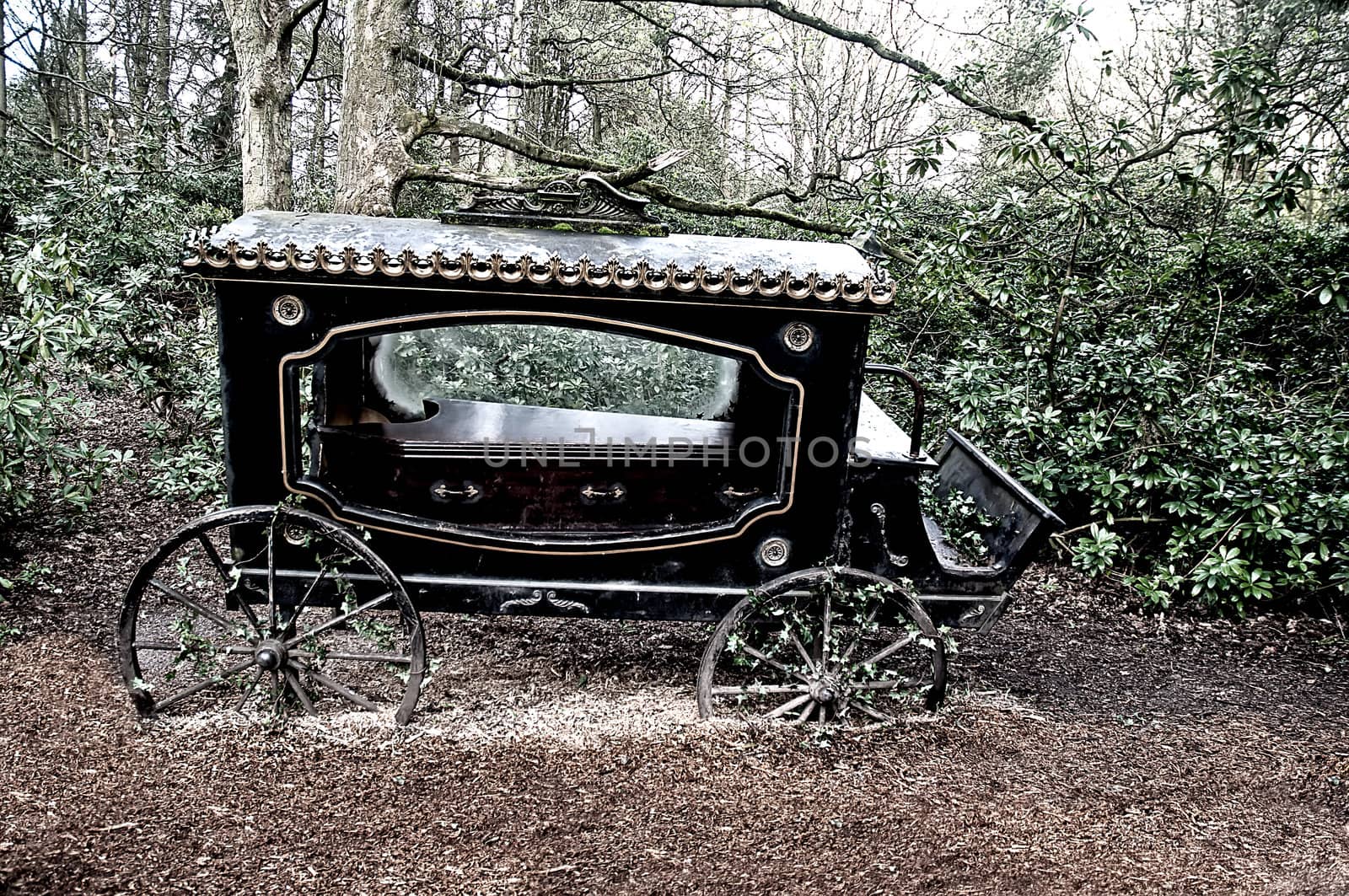 Broken-old coach hearse with the coffin being in the wood .