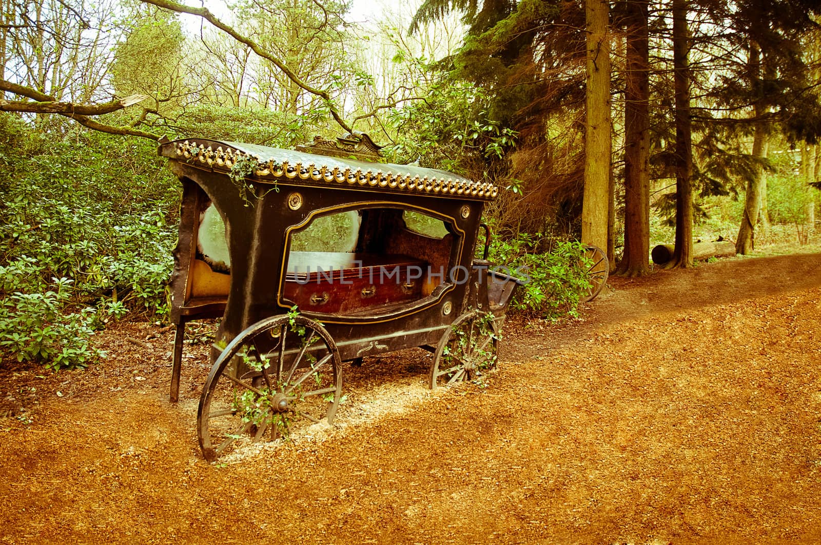 Broken-old coach hearse with the coffin being in the wood .