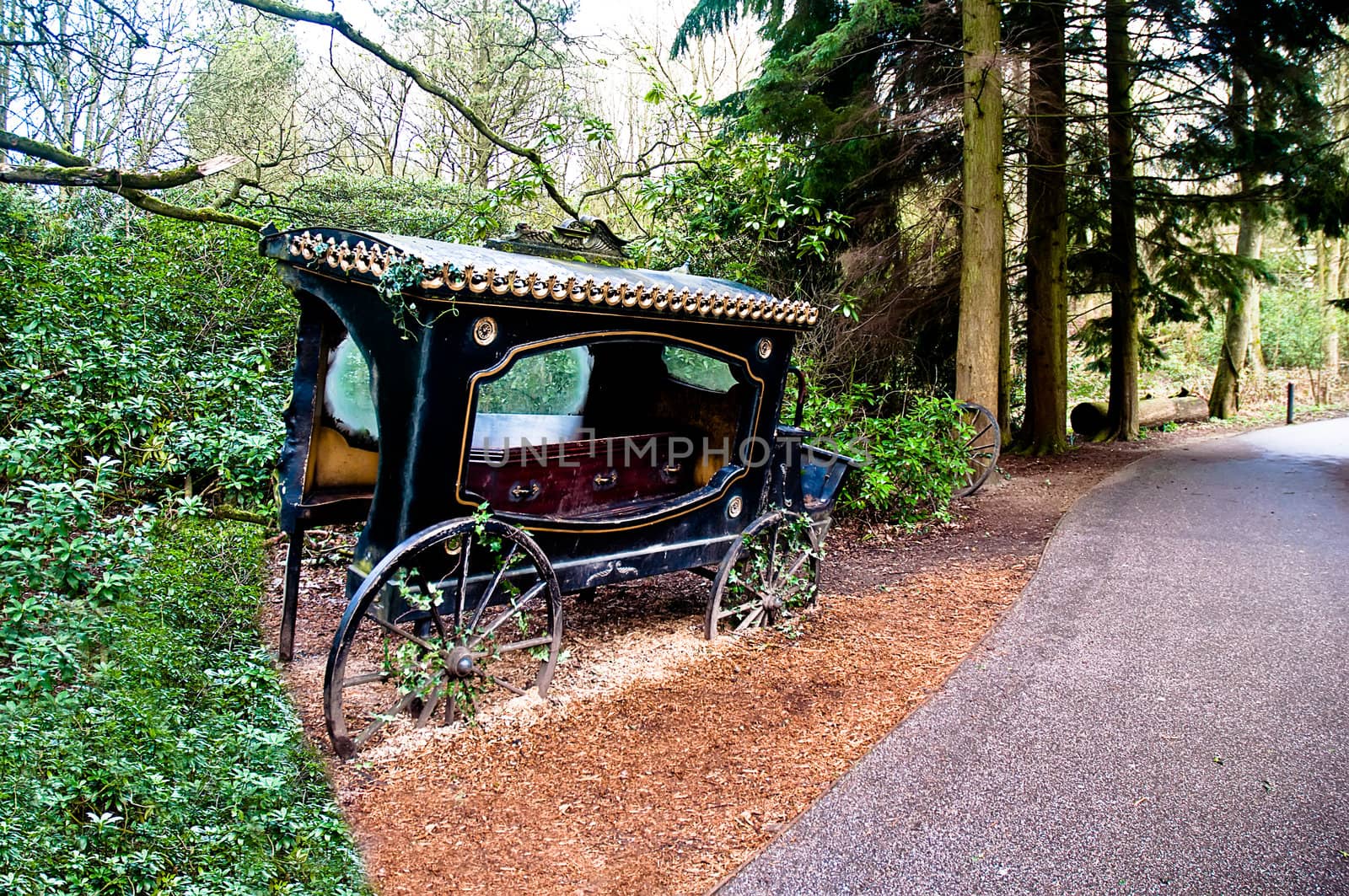 Broken-old coach hearse with the coffin being in the wood .