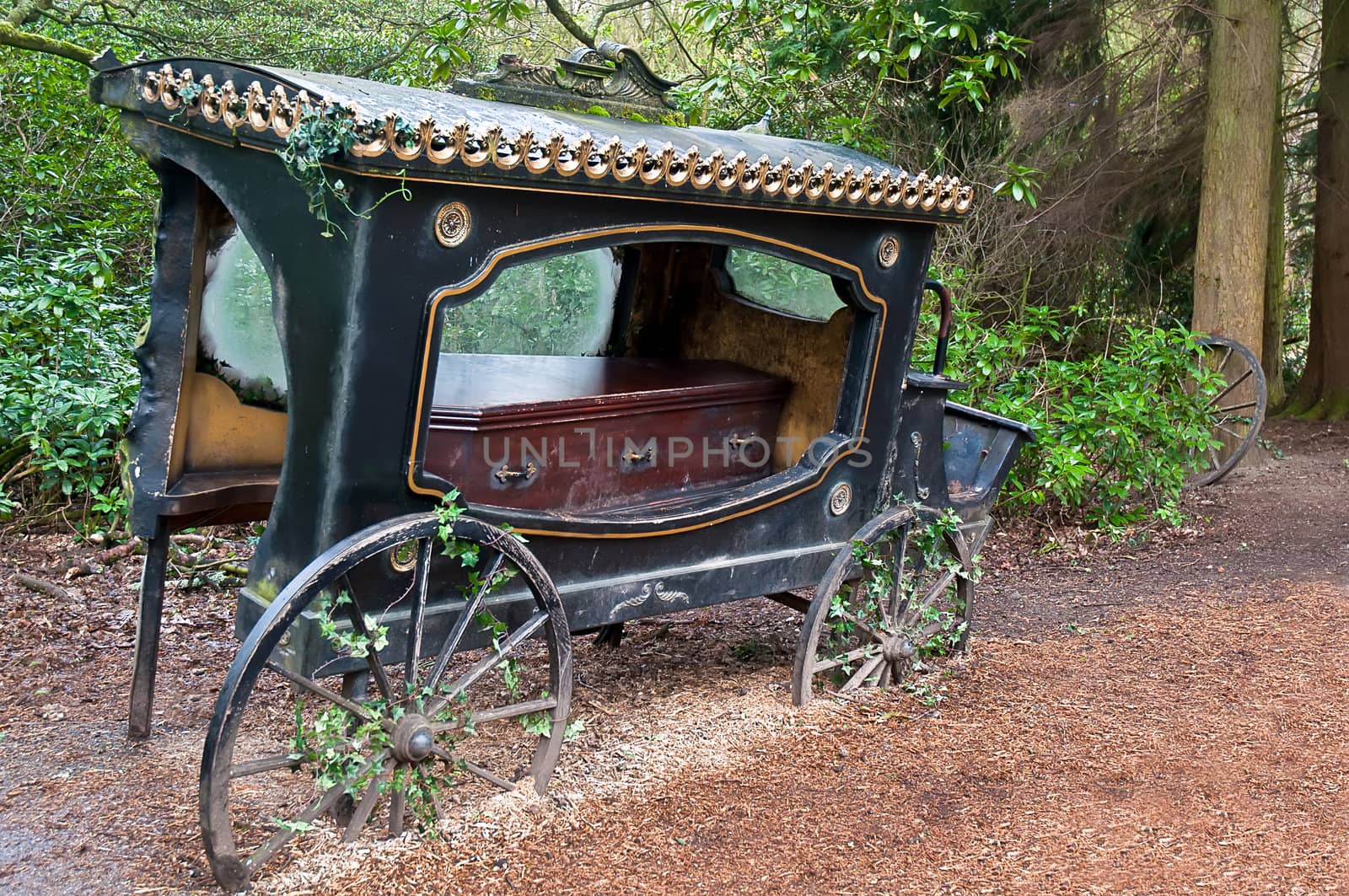 Broken-old coach hearse with the coffin being in the wood .