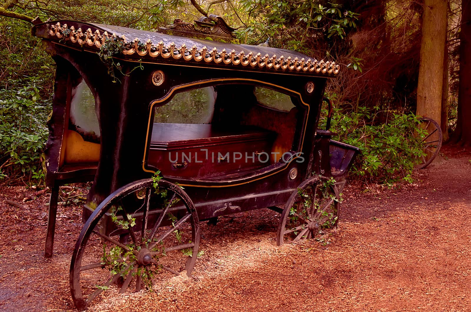 Broken-old coach hearse with the coffin being in the wood .