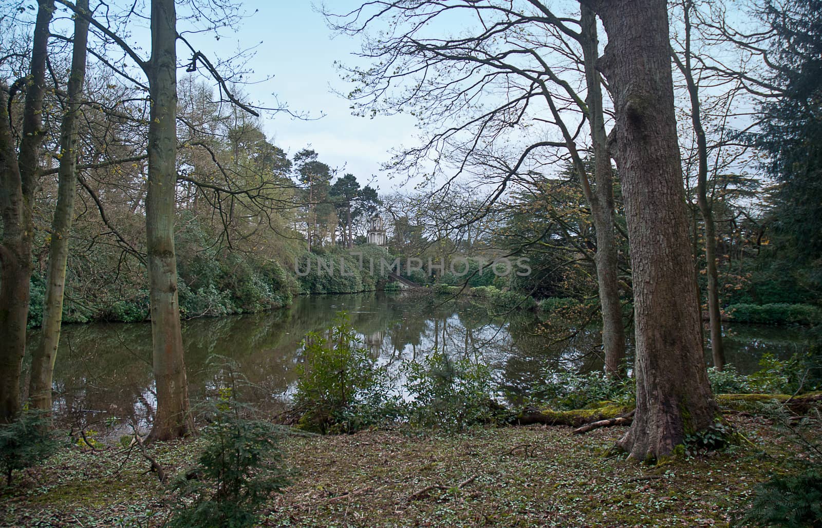 View at an arbor in the park .