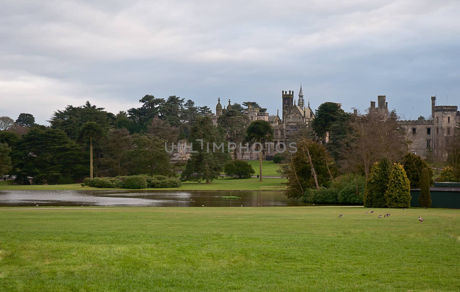 Park is a traditional English lawn, lake and castle . England .