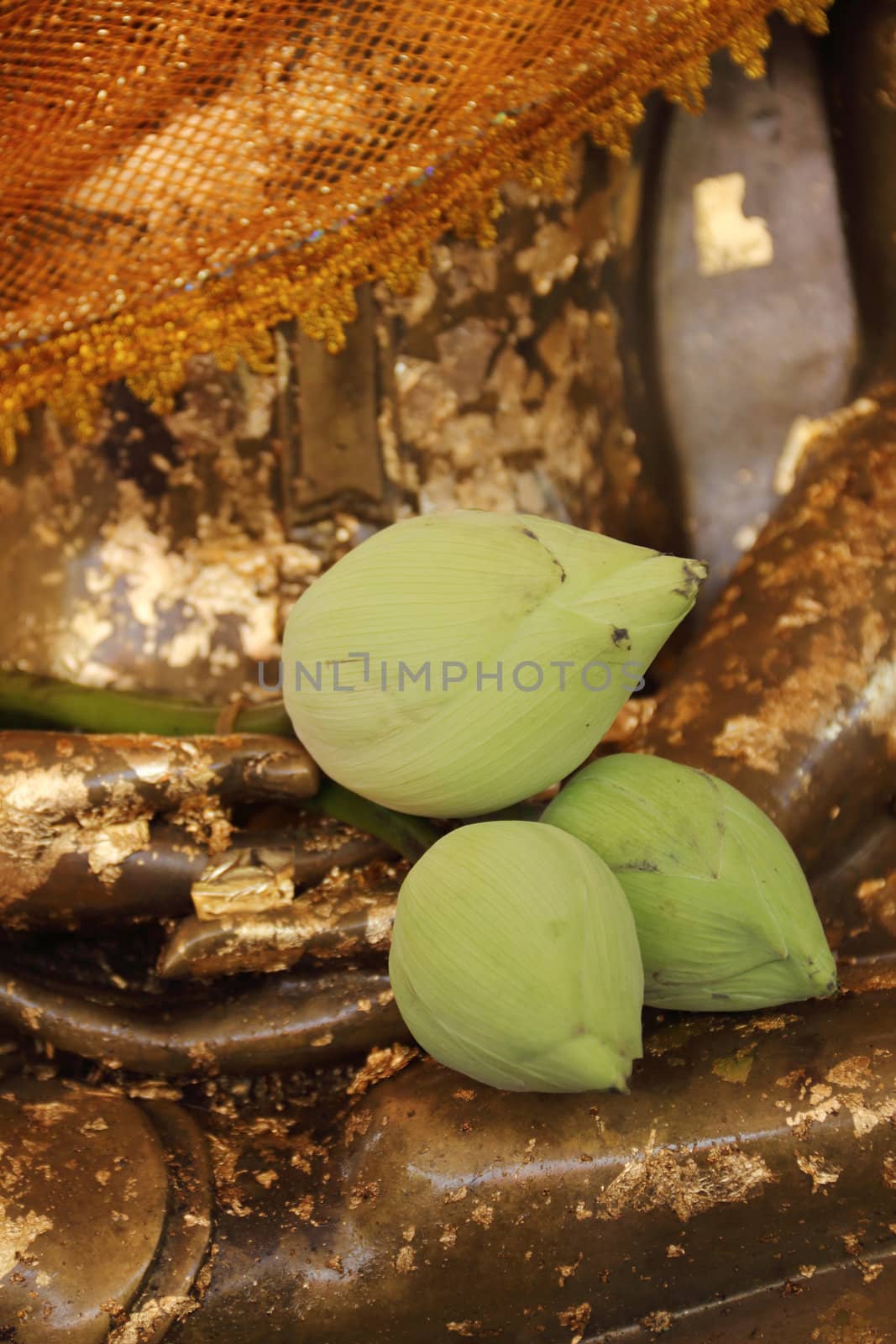 Lotus in hand image of buddha statue at Wat Yai Chai Mongkhol, Ayutthaya, Thailand