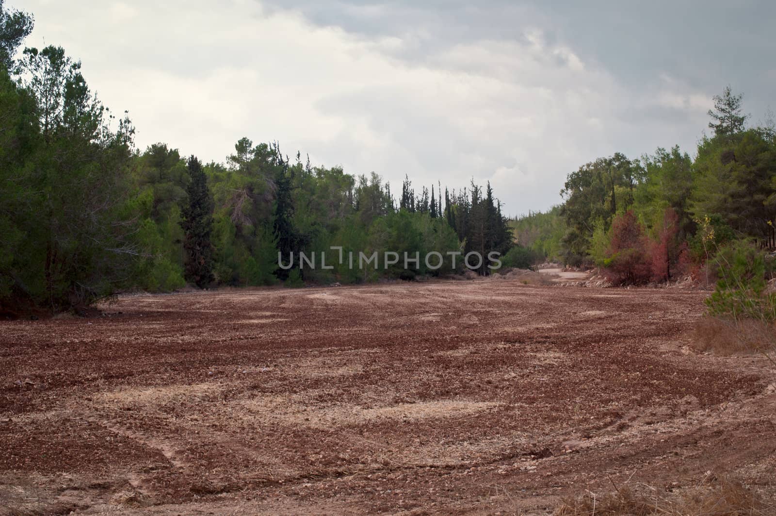 Landscape near Jerusalem in Israel .