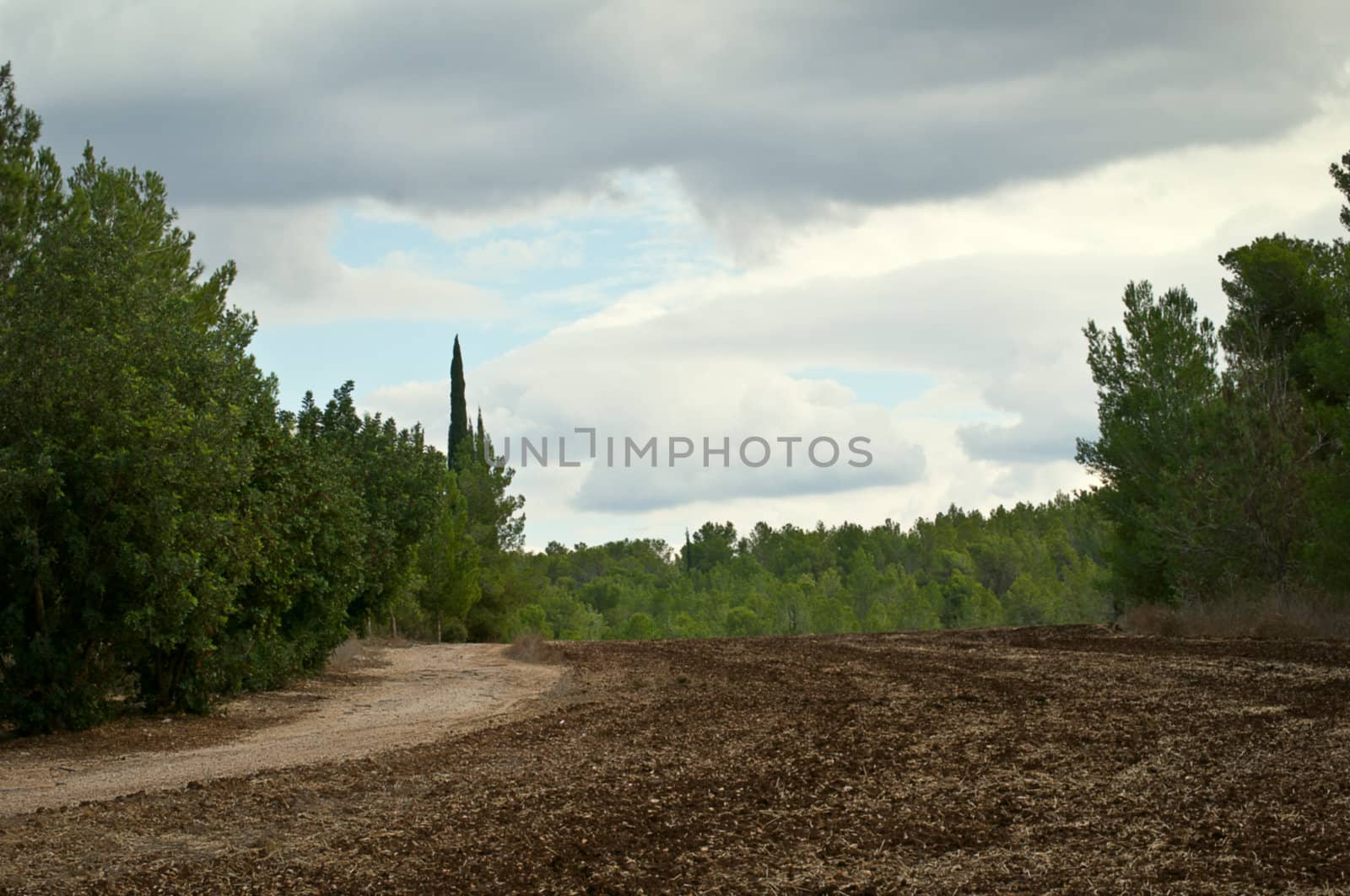 Landscape near Jerusalem in Israel .