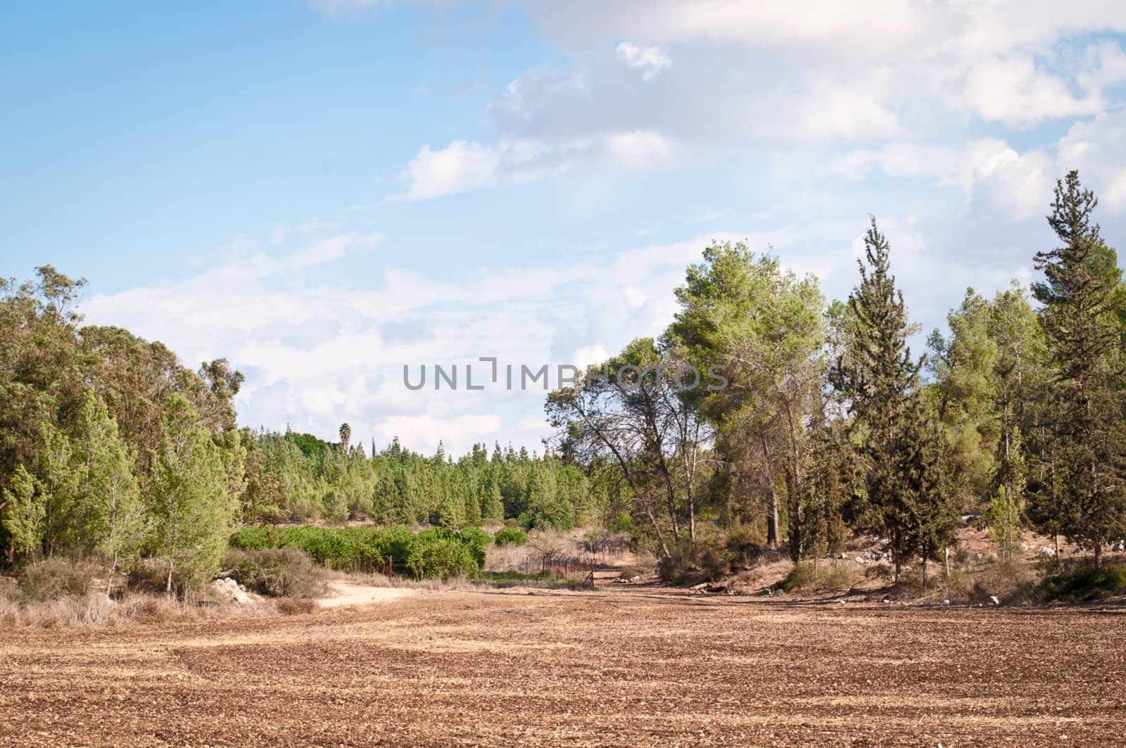 Landscape near Jerusalem in Israel .