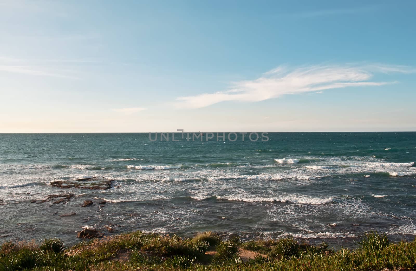 Mediterranean summer landscape on a sunny day. Israel.