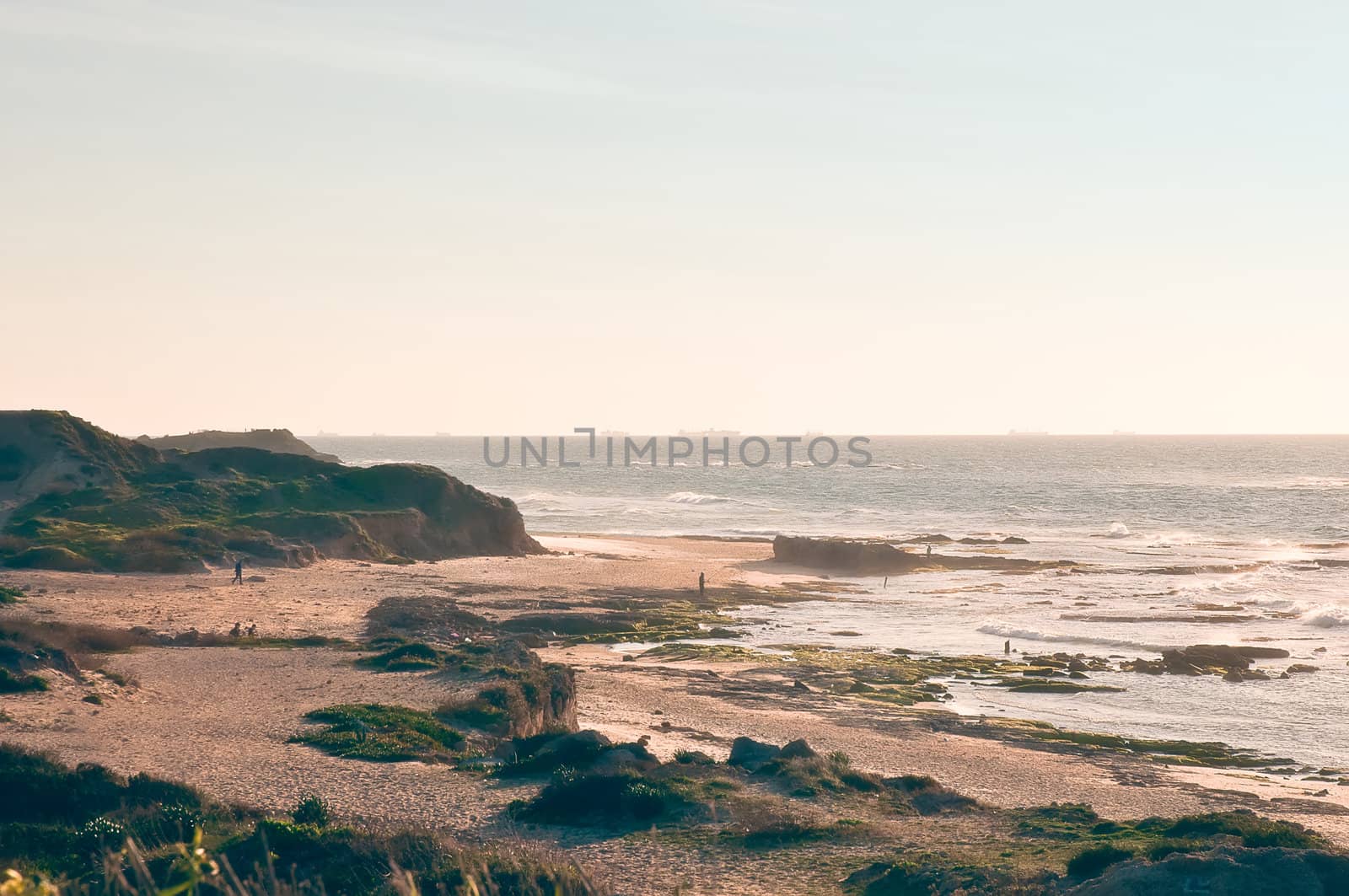 Mediterranean summer landscape on a sunny day. Israel.