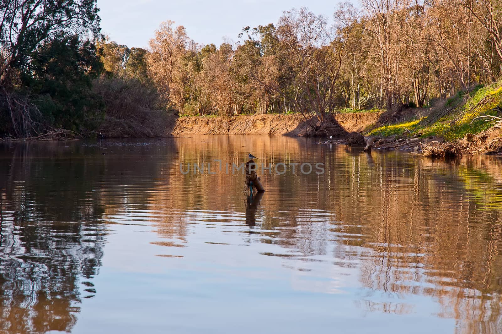 River in the Israeli National Park in winter.