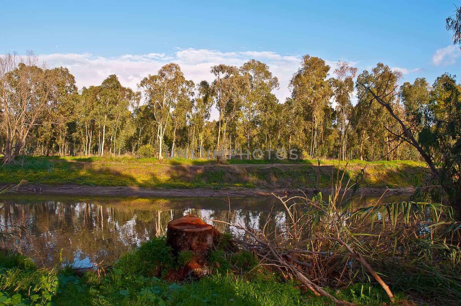 Park Israel . by LarisaP