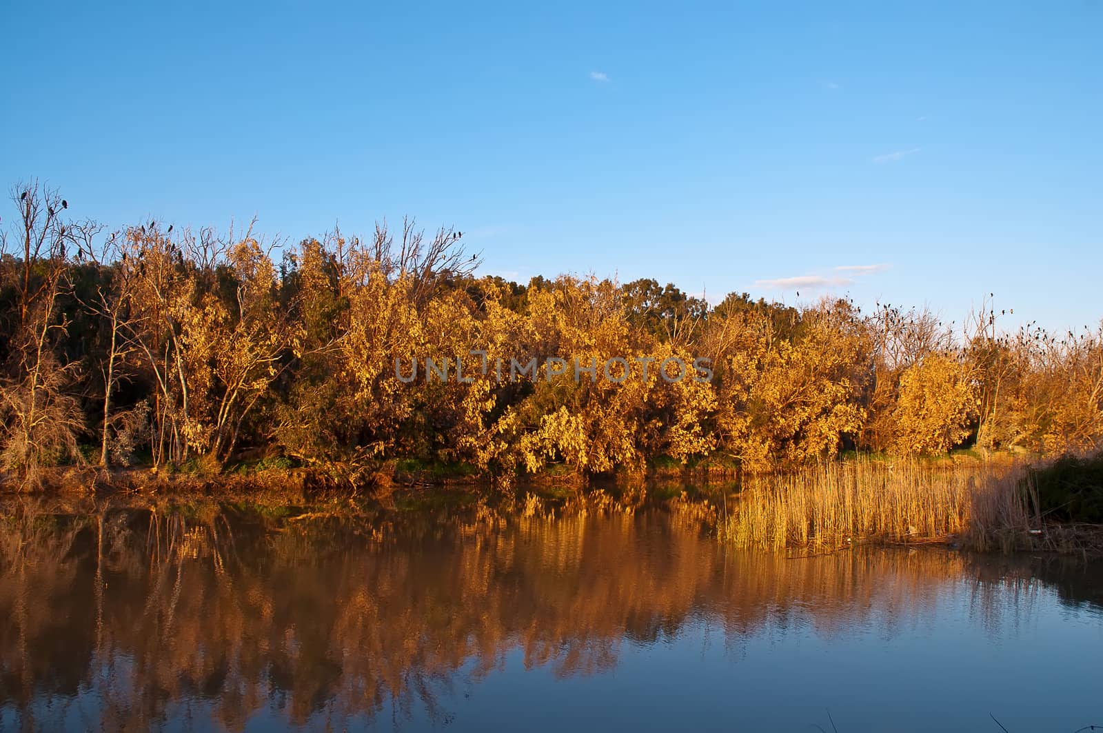 River in the Israeli National Park in winter.