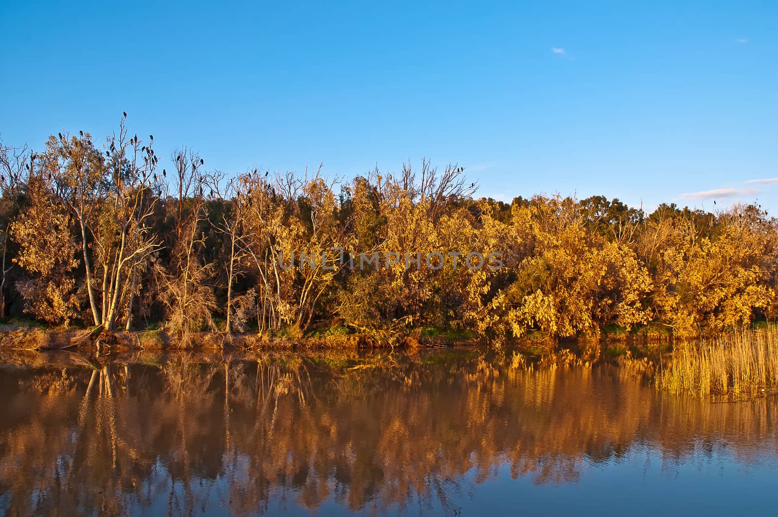 River in the Israeli National Park in winter.