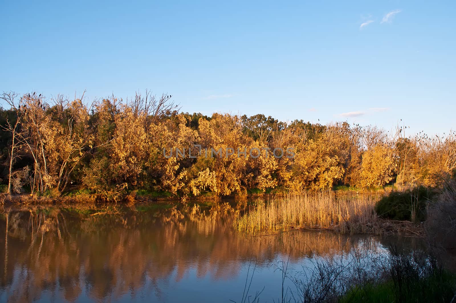 River in the Israeli National Park in winter.