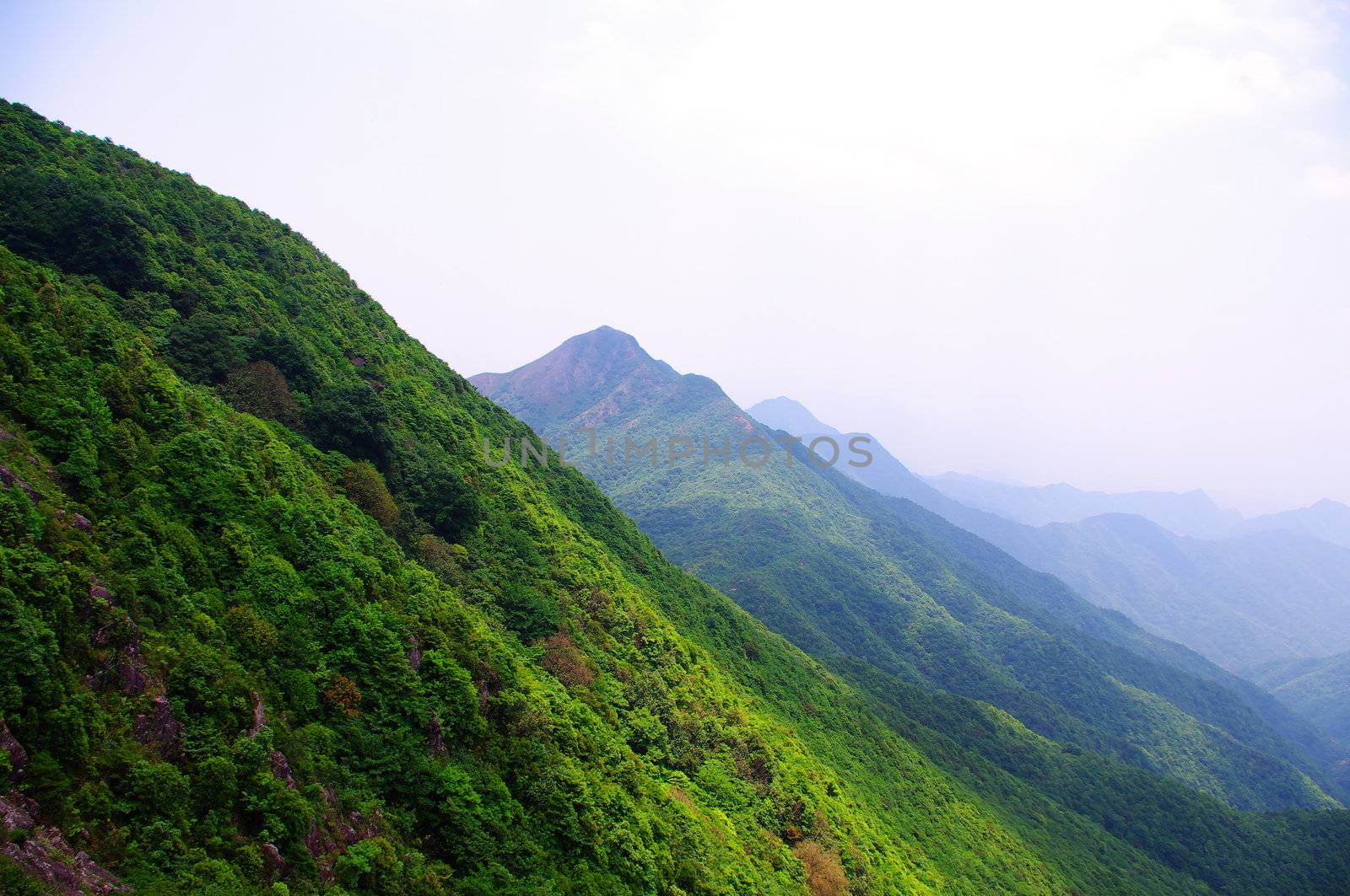 High mountain with green tree at south china