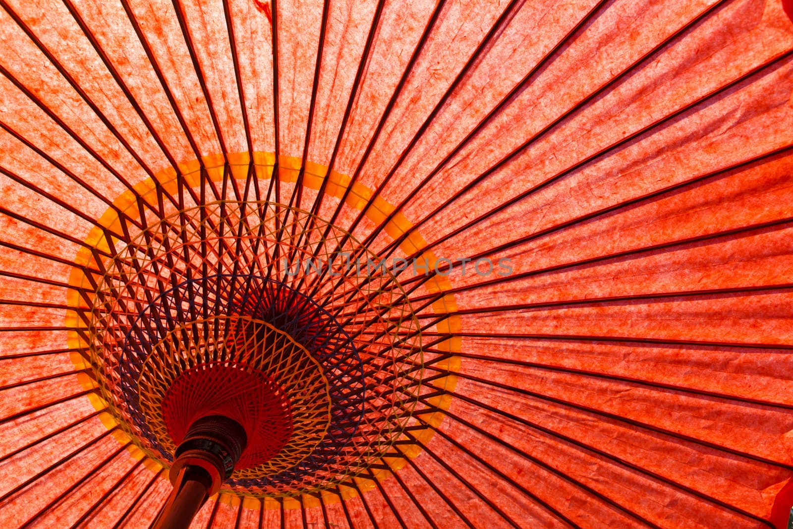 Japanese style red mulberry paper umbrella under tree shade